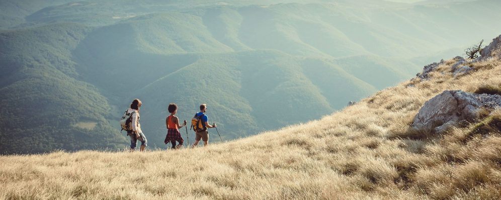 Three Field Station guests walking on a hill