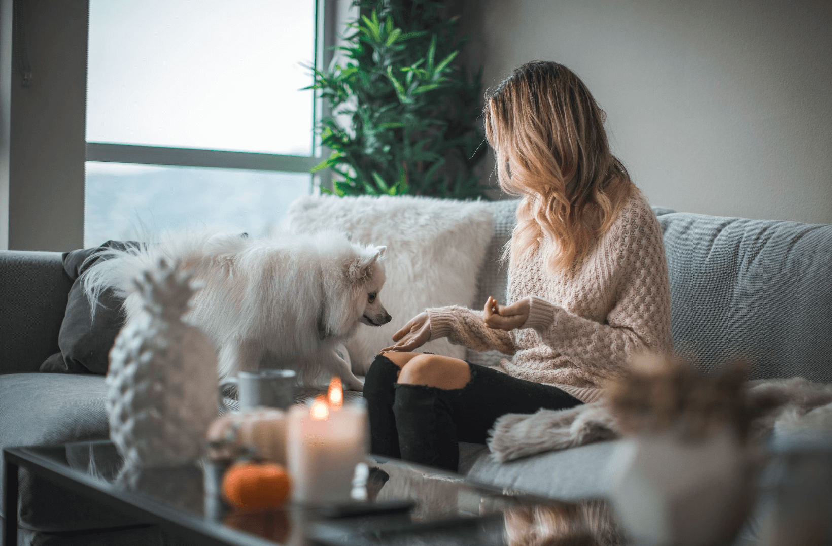 Woman with white fluffy dog on a sofa