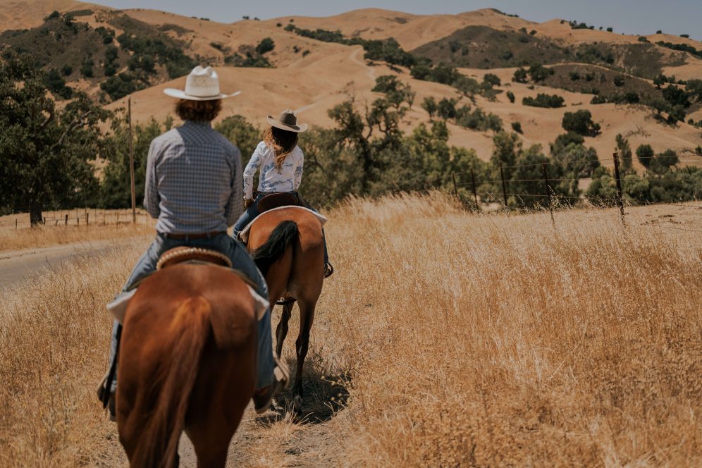 two people riding on horses